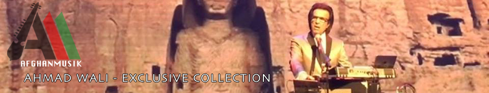 Ahmad Wali Collection